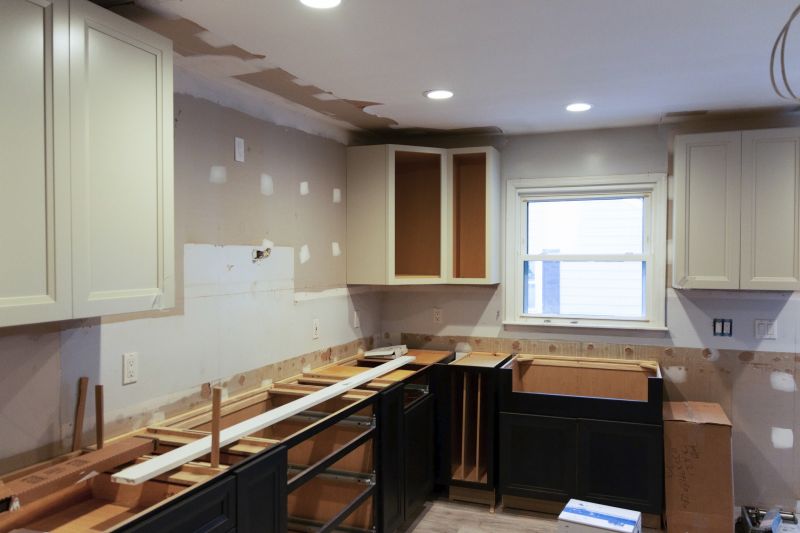 Kitchen Cabinet Repainting